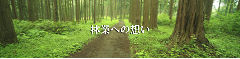 林業への思い